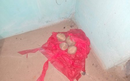 ভোটের মুখে বীজপুরে তাজা বোমা উদ্ধার, শুরু রাজনৈতিক চাপানউতোর