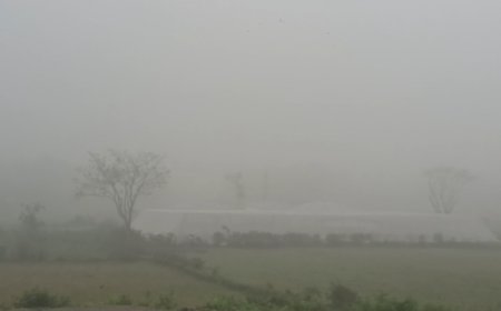 চৈত্রে কুয়াশার চাদর, জলপাইগুড়িতে ঋতুর অদ্ভুত মেলবন্ধন