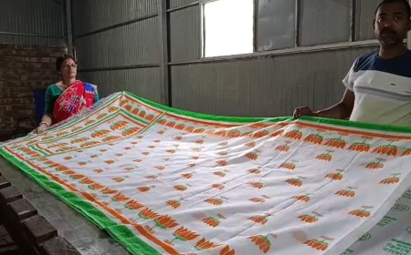 ভোটের রঙে শাড়ি! দলীয় প্রতীক-স্লোগানে চাহিদা তুঙ্গে, ব্যস্ত শান্তিপুরের তাঁত শিল্পীরা