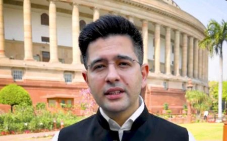 'হট্টগোল পাকানোর জন্য আমি সংসদে যাই না', দলের অভিযোগ উড়িয়ে দাবি রাঘবের