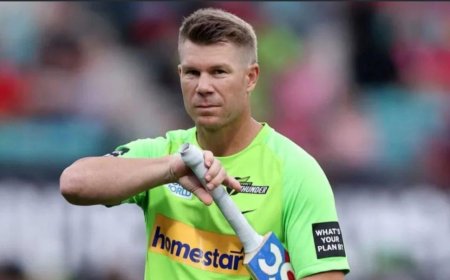 দেশে ফিরেই গ্রেফতার ওয়ার্নার, হাজিরা দিতে হবে আদালতে