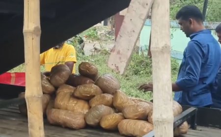 ভোটের আগে বড় সাফল্য, নিউটাউনে ১৮০ কেজি গাঁজা উদ্ধার STF-এর