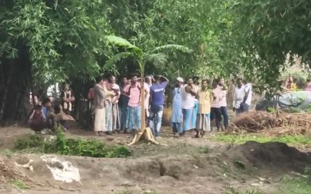 ভাঙড়ে বাঁশবাগান থেকে বোমা উদ্ধার, রাজনৈতিক চাপানউতোরে উত্তপ্ত এলাকা