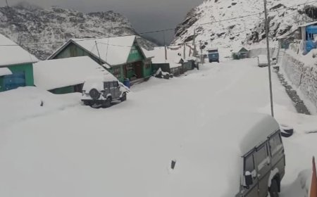 তুষারপাতে বিপর্যস্ত সিকিম, সাদা চাদরে মোড়া সান্দাকফুতে মুগ্ধ পর্যটকরা