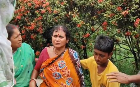 ট্রাইবুনালে যাওয়ার আগেই মর্মান্তিক মৃত্যু টোটো চালকের, বাসন্তীতে চাঞ্চল্য