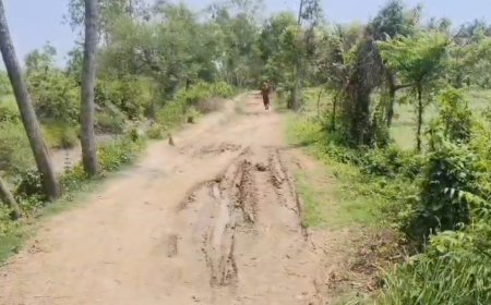 নন্দীগ্রামে ভোট বয়কটের হুঁশিয়ারি, রাস্তা না হওয়ায় ক্ষোভে গ্রামবাসীরা