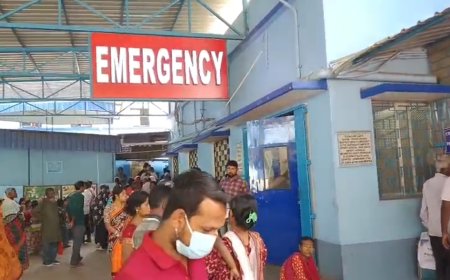 সন্ন্যাসিনীর বেশে বাড়িতে ঢুকে ৫ সদস্যকে অচেতন করে সর্বস্ব লুঠ, নদিয়ায় চাঞ্চল্য