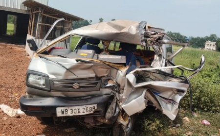 মনসা মন্দির থেকে ফেরার পথে দুর্ঘটনা, একই পরিবারের ৯ জন জখম