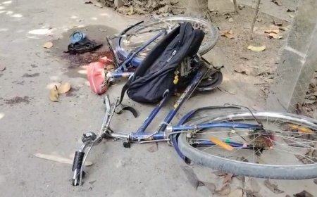 বেপরোয়া ট্রাক্টরের ধাক্কায় চতুর্থ শ্রেণির পড়ুয়ার মৃত্যু, উত্তপ্ত নাদনঘাট