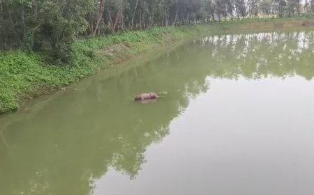 ঘাটালে পুকুরে ভাসমান দেহ উদ্ধার, চাঞ্চল্য এলাকায়