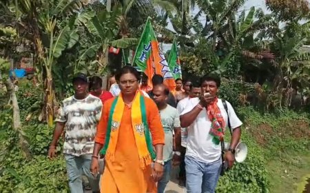 মাইক হাতে প্রচার, সঙ্গে ডেঙ্গি সতর্কবার্তা-বসিরহাটে নজর কাড়লেন বিজেপি প্রার্থী