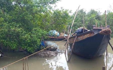 দু'মাস মাছ ধরা বন্ধ, সরকারি সহায়তা নেই, অভাবেই দিন কাটছে