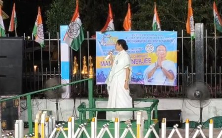 ভবানীপুরে জনসংযোগে মমতা বন্দ্যোপাধ্যায়, কেন্দ্রকে তীব্র আক্রমণ -'২ নম্বর মানেই ভিক্টোরি' বার্তা