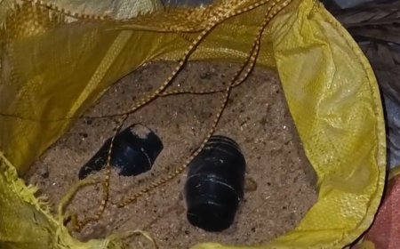 ভোটের মুখে বীজপুরে বোমা উদ্ধার, ক্ষুদিরাম কলোনিতে তল্লাশি জোরদার