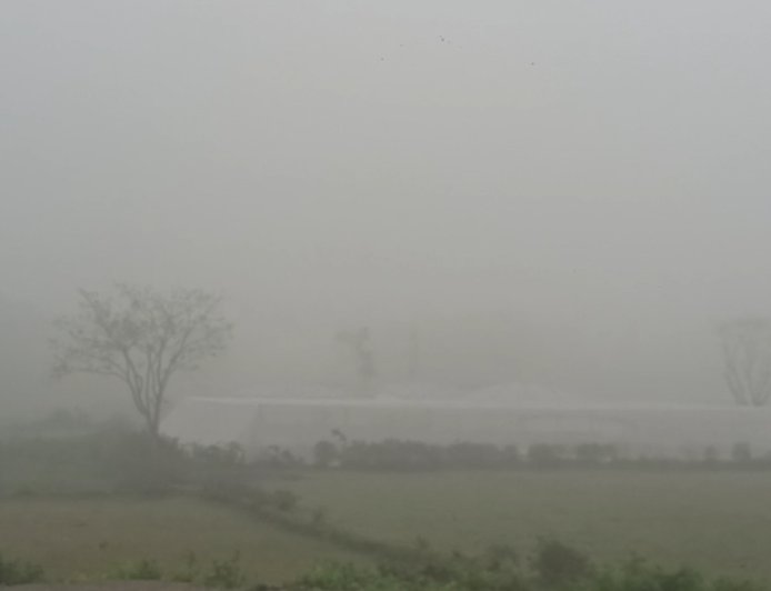 চৈত্রে কুয়াশার চাদর, জলপাইগুড়িতে ঋতুর অদ্ভুত মেলবন্ধন