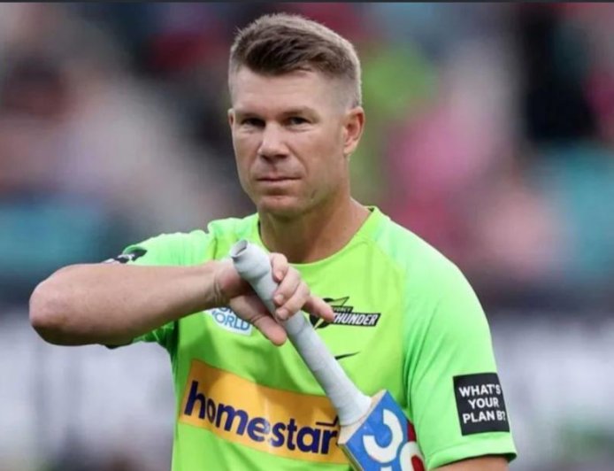 দেশে ফিরেই গ্রেফতার ওয়ার্নার, হাজিরা দিতে হবে আদালতে