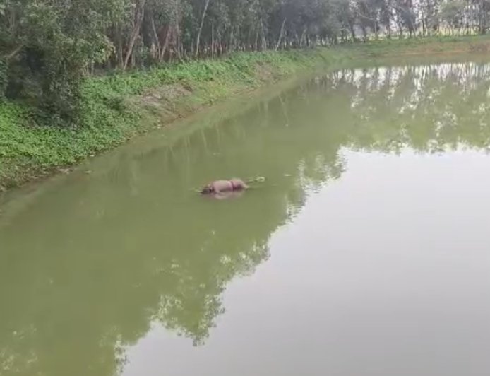 ঘাটালে পুকুরে ভাসমান দেহ উদ্ধার, চাঞ্চল্য এলাকায়
