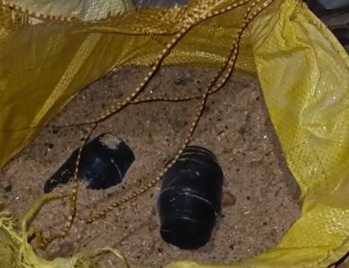 ভোটের মুখে বীজপুরে বোমা উদ্ধার, ক্ষুদিরাম কলোনিতে তল্লাশি জোরদার