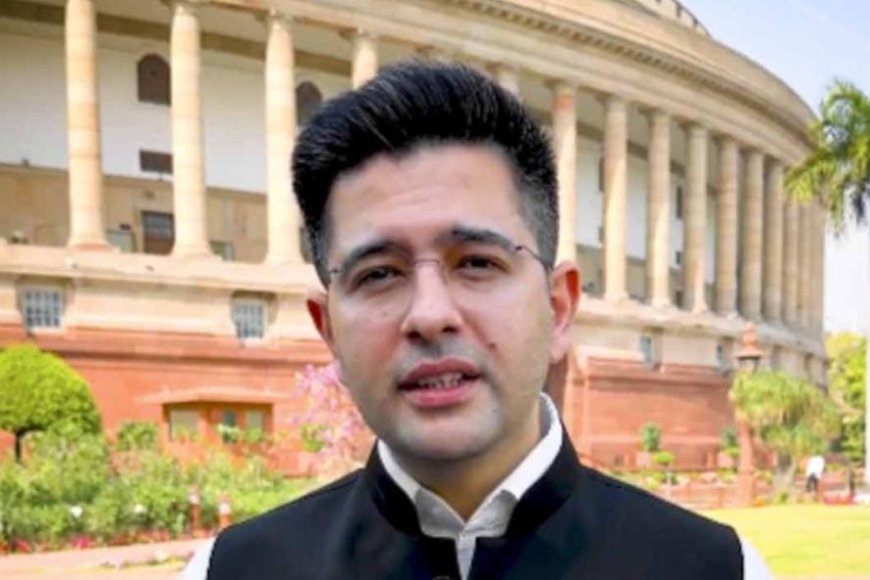 'হট্টগোল পাকানোর জন্য আমি সংসদে যাই না', দলের অভিযোগ উড়িয়ে দাবি রাঘবের