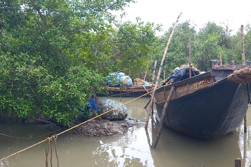 দু'মাস মাছ ধরা বন্ধ, সরকারি সহায়তা নেই, অভাবেই দিন কাটছে