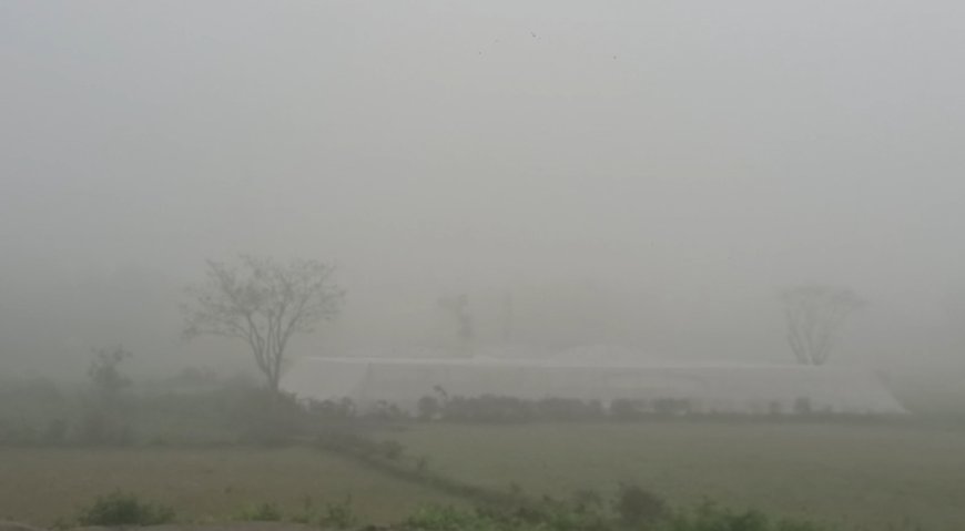 চৈত্রে কুয়াশার চাদর, জলপাইগুড়িতে ঋতুর অদ্ভুত মেলবন্ধন