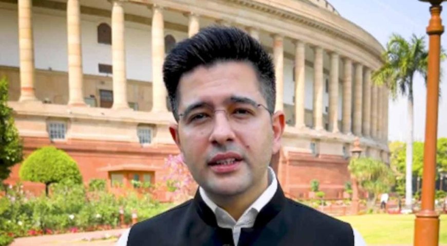 'হট্টগোল পাকানোর জন্য আমি সংসদে যাই না', দলের অভিযোগ উড়িয়ে দাবি রাঘবের