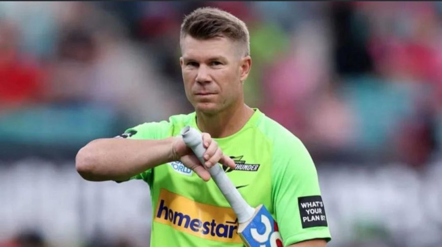 দেশে ফিরেই গ্রেফতার ওয়ার্নার, হাজিরা দিতে হবে আদালতে