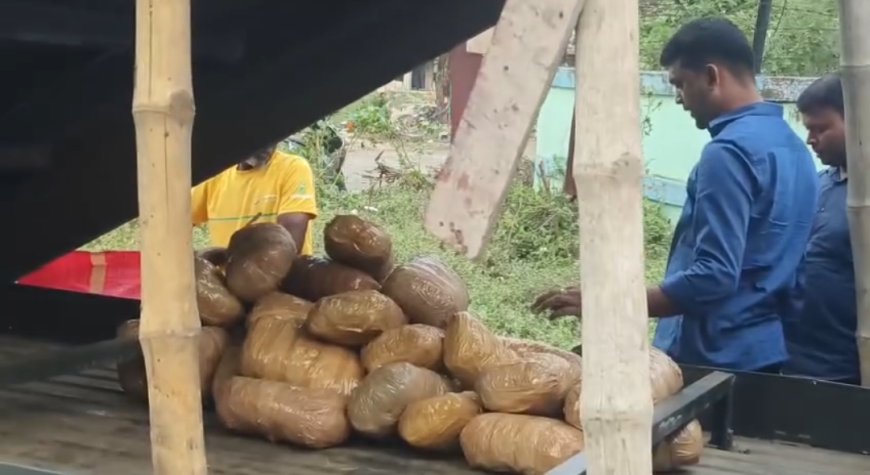 ভোটের আগে বড় সাফল্য, নিউটাউনে ১৮০ কেজি গাঁজা উদ্ধার STF-এর