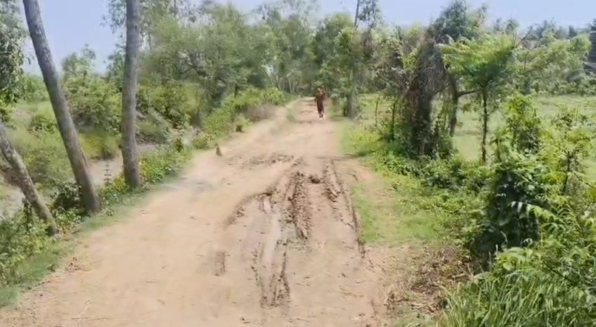 নন্দীগ্রামে ভোট বয়কটের হুঁশিয়ারি, রাস্তা না হওয়ায় ক্ষোভে গ্রামবাসীরা