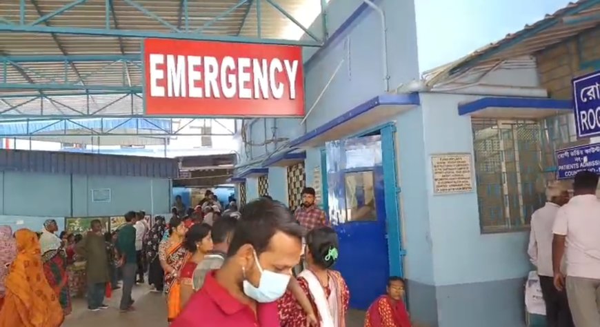 সন্ন্যাসিনীর বেশে বাড়িতে ঢুকে ৫ সদস্যকে অচেতন করে সর্বস্ব লুঠ, নদিয়ায় চাঞ্চল্য