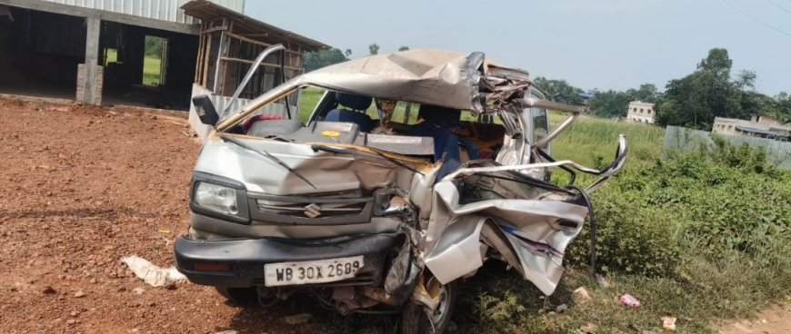 মনসা মন্দির থেকে ফেরার পথে দুর্ঘটনা, একই পরিবারের ৯ জন জখম