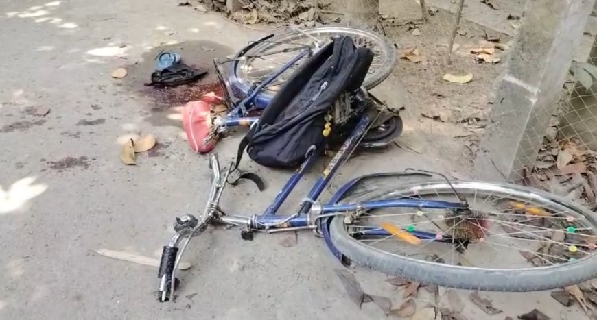 বেপরোয়া ট্রাক্টরের ধাক্কায় চতুর্থ শ্রেণির পড়ুয়ার মৃত্যু, উত্তপ্ত নাদনঘাট