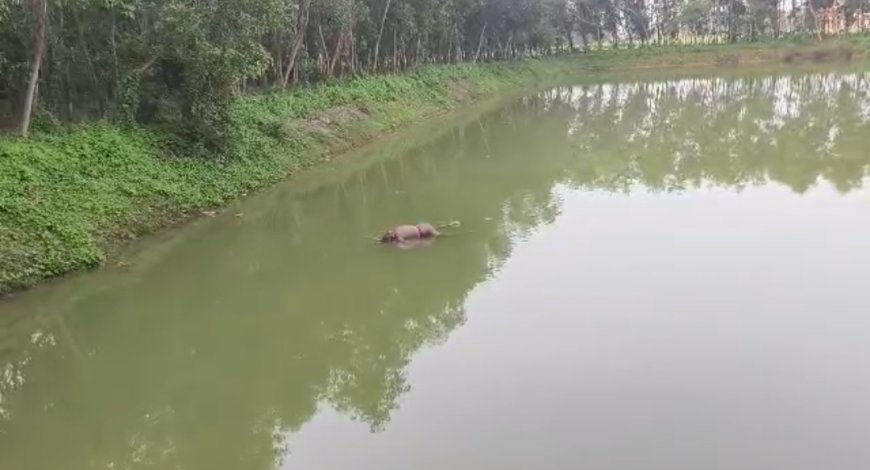 ঘাটালে পুকুরে ভাসমান দেহ উদ্ধার, চাঞ্চল্য এলাকায়