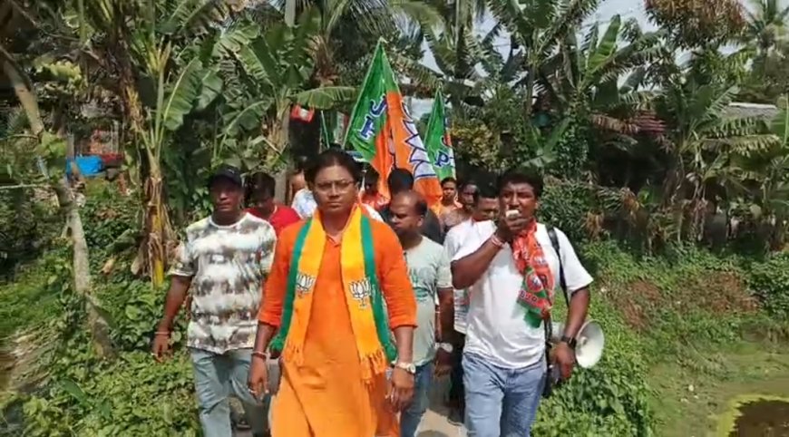 মাইক হাতে প্রচার, সঙ্গে ডেঙ্গি সতর্কবার্তা-বসিরহাটে নজর কাড়লেন বিজেপি প্রার্থী