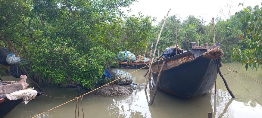দু'মাস মাছ ধরা বন্ধ, সরকারি সহায়তা নেই, অভাবেই দিন কাটছে