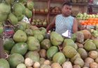 বৈশাখের কাঠফাটা গরমে বাড়ছে ডাবের চাহিদা