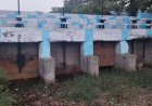 স্বরূপনগরের শস্যভাণ্ডার বিলবল্লী আজ বিপন্ন, উৎকণ্ঠায় সীমান্তের কৃষককুল