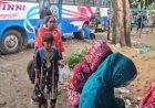 শ্বরূপনগরের হাকিমপুর সীমান্তে ফের বাংলাদেশিদের ভিড়, বৃষ্টিতে অস্থায়ী আশ্রয়ের ব্যবস্থা