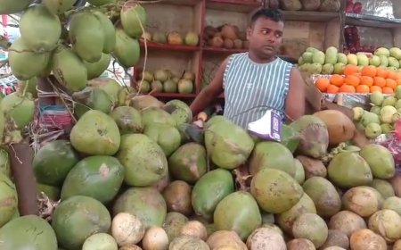 বৈশাখের কাঠফাটা গরমে বাড়ছে ডাবের চাহিদা