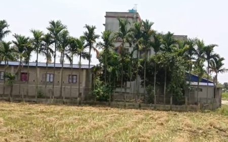 তৃণমূল বিধায়ক দিলীপ মন্ডলের পর এবার ডেবরা ব্লক সভাপতির 'বাগানবাড়ি' ঘিরে চর্চা, তদন্তের দাবি বিজেপির