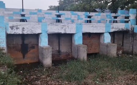 স্বরূপনগরের শস্যভাণ্ডার বিলবল্লী আজ বিপন্ন, উৎকণ্ঠায় সীমান্তের কৃষককুল