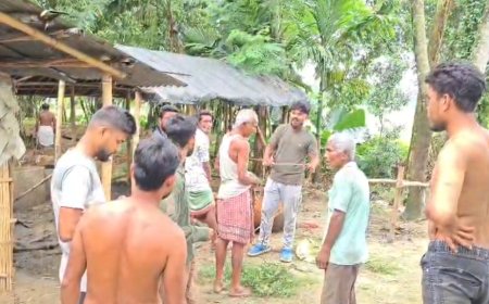 ধূপগুড়িতে দুই বাইসনের তাণ্ডব, আহত ৩ আতঙ্কে এলাকাবাসী