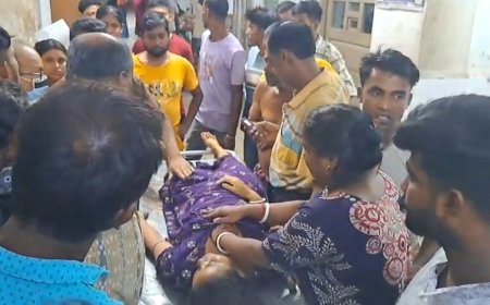 নাকাশিপাড়ায় জোড়া বজ্রপাতে মৃত্যু, প্রাণ গেল এক মহিলা-সহ দু'জনের