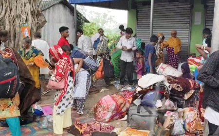 আবারও স্বরূপনগরের হাকিমপুর সীমান্তে ভিড়, বাংলাদেশে ফিরতে জড়ো শতাধিক বাংলাদেশি নাগরিক