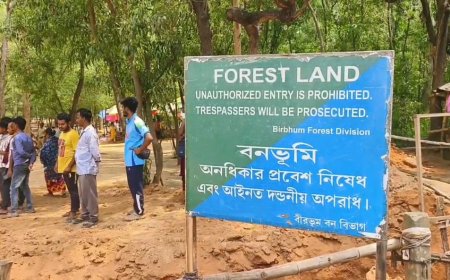 সোনাঝুরিতে চলল বুলডোজার, জঙ্গল বাঁচাতে কড়া পদক্ষেপ বন দফতরের