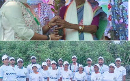 সুন্দরবনকে বাঁচাতে ১ হাজার হেক্টরের পর এবার আরও বড় লক্ষ্য নিয়ে ময়দানে 'মিনসো ইন্ডিয়া'
