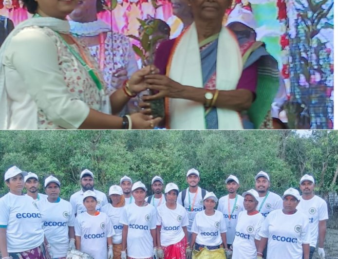 সুন্দরবনকে বাঁচাতে ১ হাজার হেক্টরের পর এবার আরও বড় লক্ষ্য নিয়ে ময়দানে 'মিনসো ইন্ডিয়া'