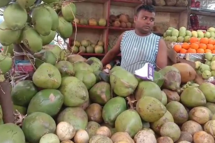 বৈশাখের কাঠফাটা গরমে বাড়ছে ডাবের চাহিদা