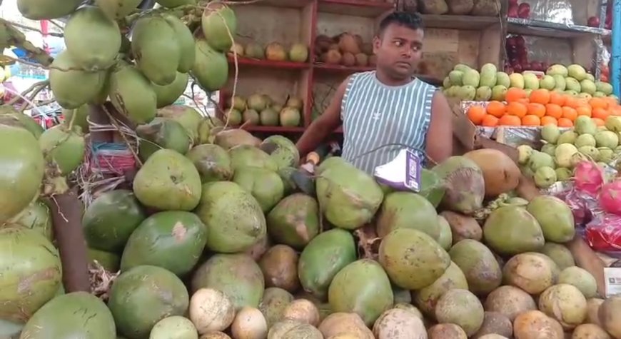 বৈশাখের কাঠফাটা গরমে বাড়ছে ডাবের চাহিদা