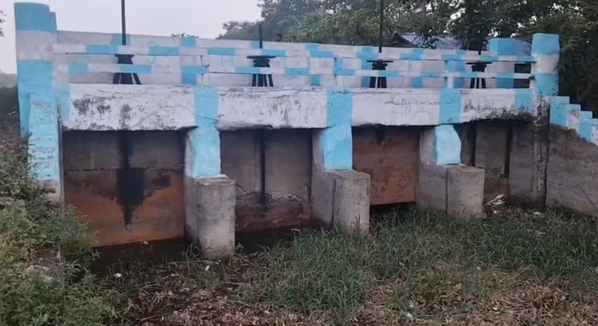 স্বরূপনগরের শস্যভাণ্ডার বিলবল্লী আজ বিপন্ন, উৎকণ্ঠায় সীমান্তের কৃষককুল